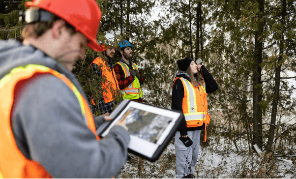 Forestry 